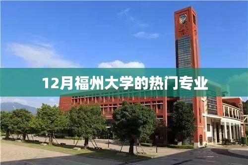 福州大學(xué)熱門專業(yè)榜單（12月版）