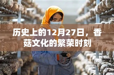 香菇文化繁榮時(shí)刻，歷史12月27日回顧