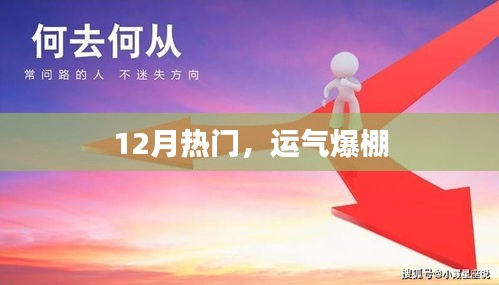 12月運勢大熱，好運爆棚時刻！