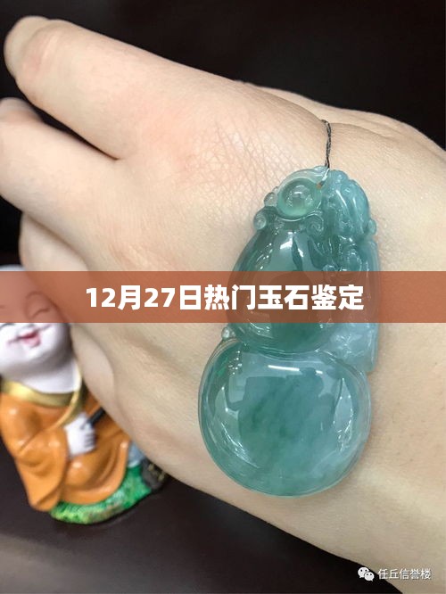 玉石鑒定熱點(diǎn)解析，12月27日最新資訊