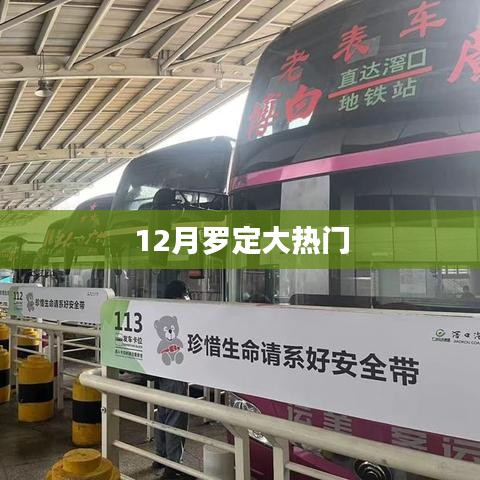 羅定熱點(diǎn)新聞，揭秘十二月大熱門(mén)事件