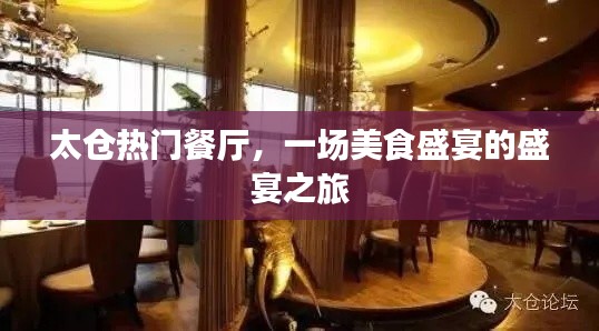 太倉美食盛宴，熱門餐廳探秘之旅