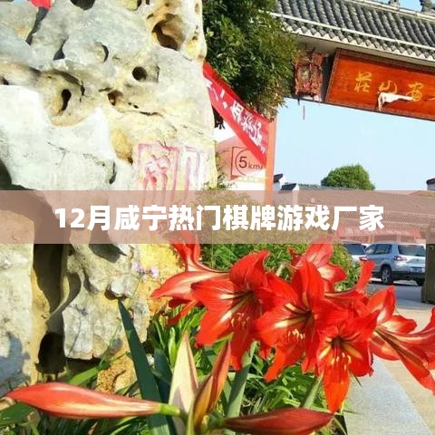 咸寧十二月熱門棋牌游戲廠家揭秘