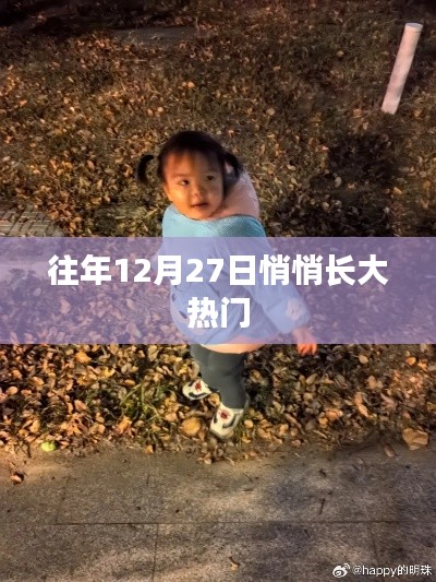 年終倒數(shù)時(shí)刻，揭秘十二月二十七日的熱門秘密