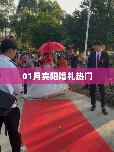 百鳥(niǎo)朝鳳 第4頁(yè)