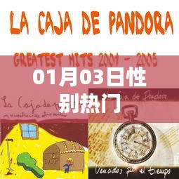 性別話題熱議，最新動態(tài)一網打盡（01月03日）