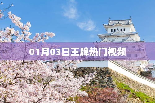 王牌熱門視頻盤點，最新熱門視頻精選