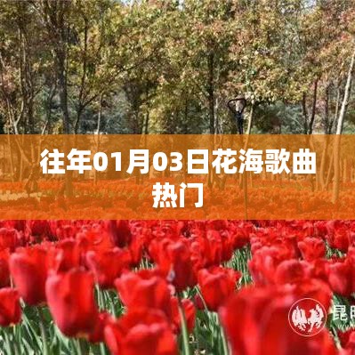 『花海歌曲熱爆，歷年一月初最受歡迎的旋律』