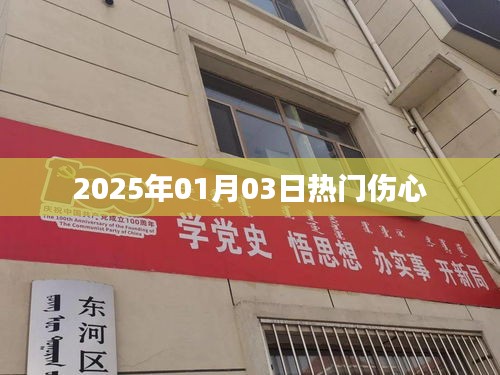 『2025年1月3日，那些令人心碎的瞬間』