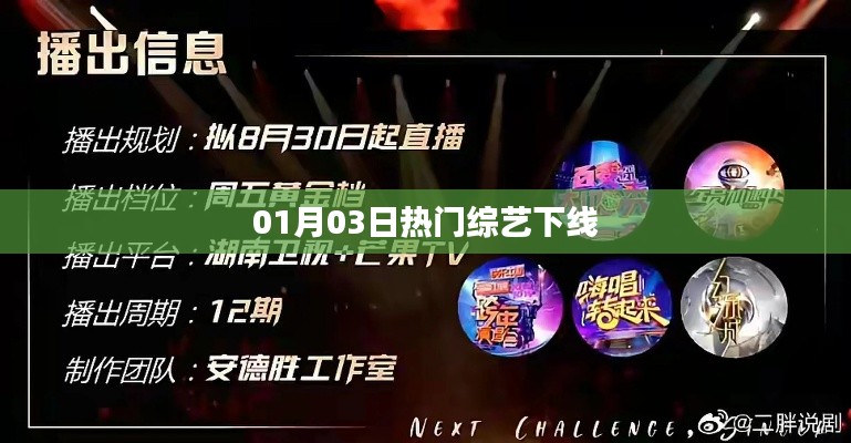 熱門綜藝1月3日下架