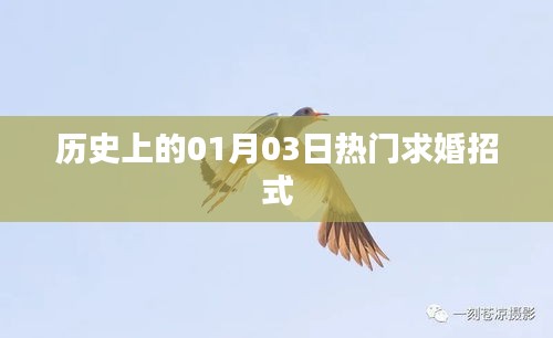 歷史上的求婚秘籍，一月三日求婚攻略