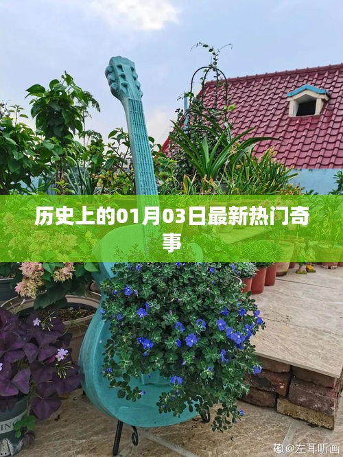 歷史奇聞揭秘，一月三日最新熱門事件回顧