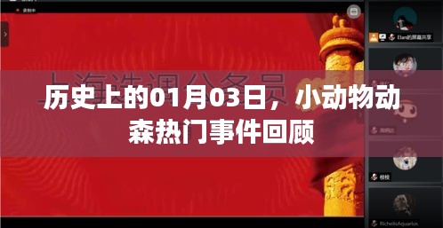 歷史上的小動(dòng)物動(dòng)森，一月三日熱門事件回顧