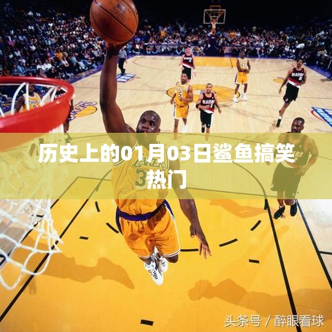 歷史上的鯊魚搞笑瞬間，一月三日歡樂回顧