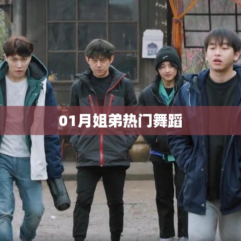 熱門舞蹈，一月姐弟熱舞盤點(diǎn)