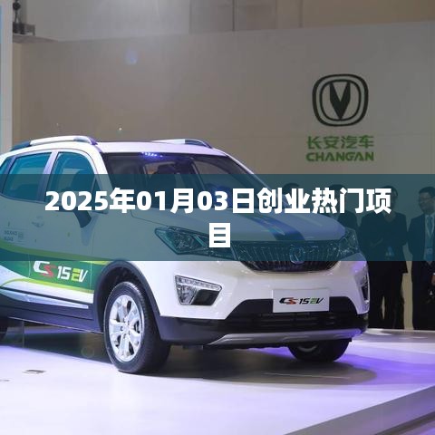 2025年創(chuàng)業(yè)熱門項目揭秘，把握未來商機