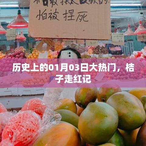 歷史大熱門，桔子走紅記，揭秘背后的故事