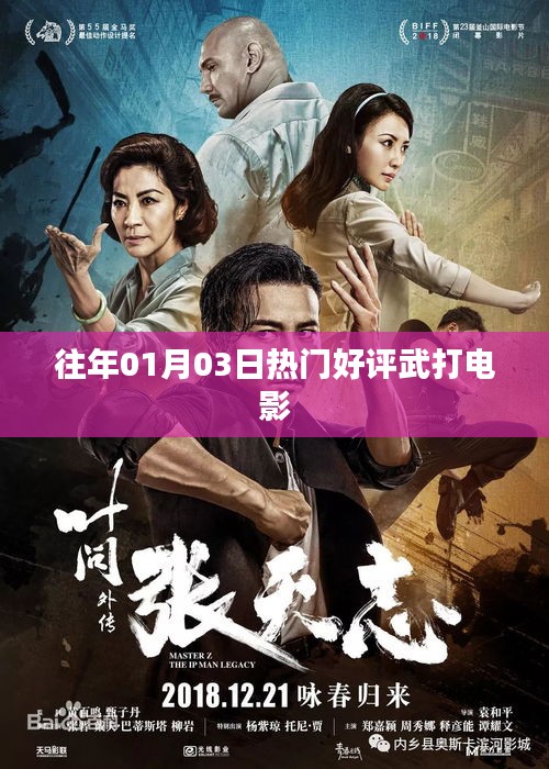 歷年一月三日好評武打電影盤點