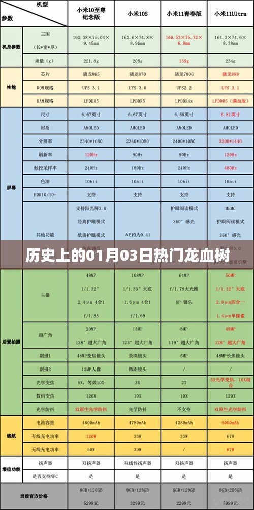 龍血樹的歷史變遷，一月三日的重要時刻回顧