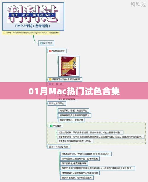 「獨家盤點」Mac熱門試色合集，一月精選不容錯過