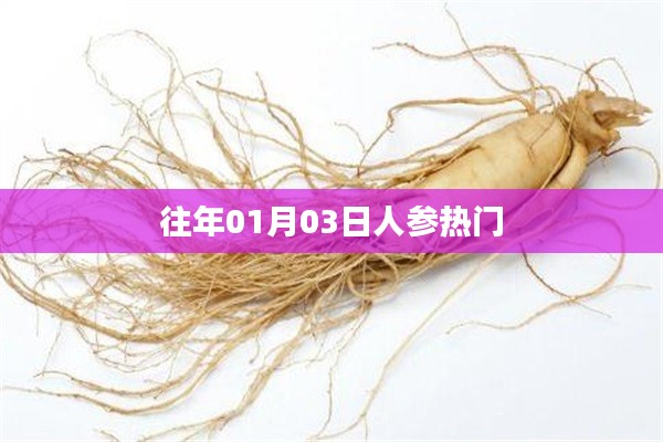 人參熱門事件回顧，歷年一月初三矚目時刻