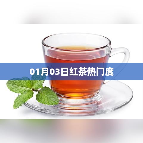 紅茶熱門度揭秘，最新趨勢(shì)分析（日期，01月03日）