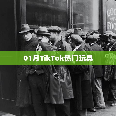 TikTok熱門(mén)玩具大盤(pán)點(diǎn)（一月精選）