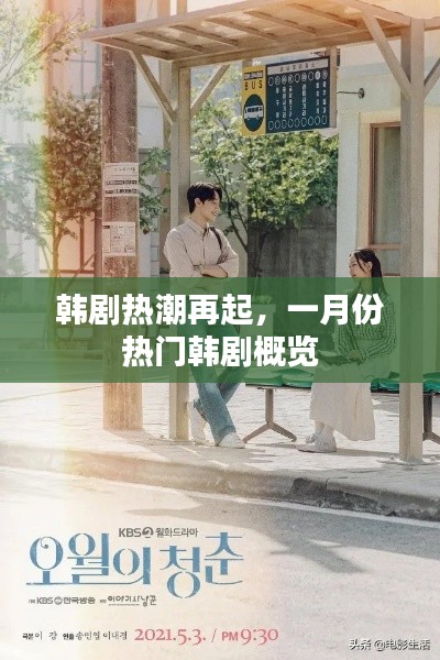 一月份韓劇熱潮回顧，熱門劇集概覽