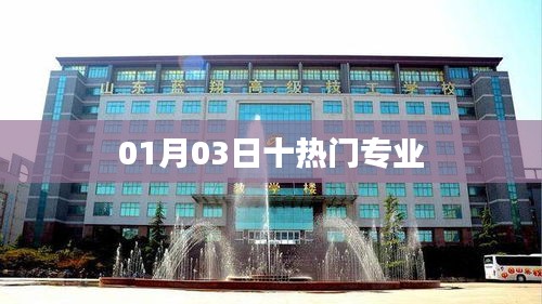 最新熱門專業(yè)榜單TOP10，01月03日更新