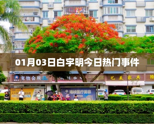 白宇明最新熱門事件曝光，關(guān)注細節(jié)解析