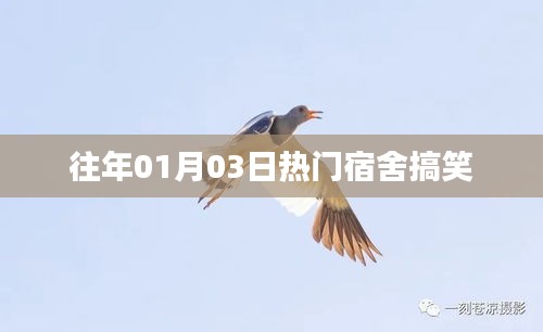 宿舍歡樂瞬間，歷年一月三日爆笑回顧