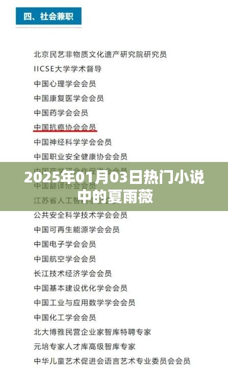 夏雨薇，2025年超人氣小說主角，魅力非凡