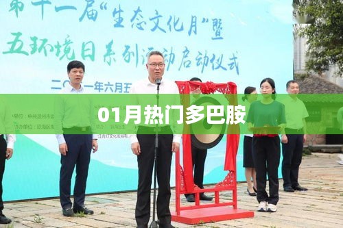 熱門多巴胺，揭秘一月新動向