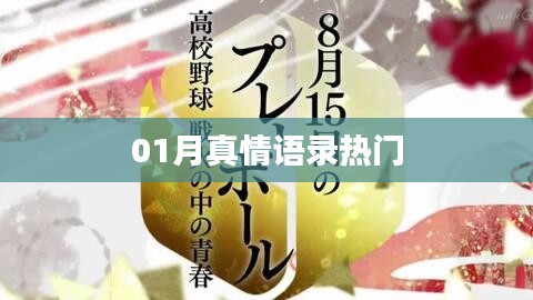 精選真情語錄，一月溫暖話語