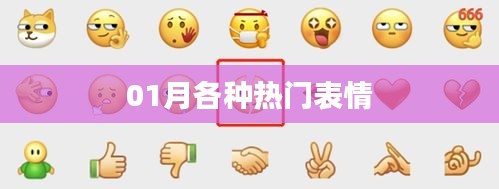 01月流行表情匯總