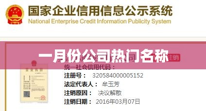 一月份公司熱門名稱盤點(diǎn)