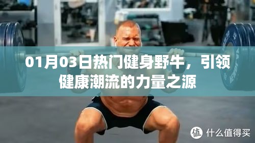 熱門健身野牛，引領(lǐng)健康潮流的力量之源