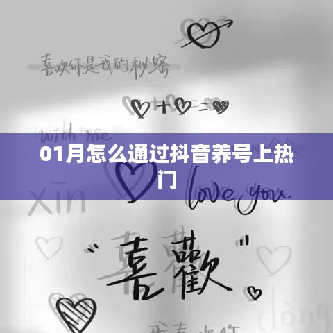 抖音養(yǎng)號攻略，如何一月內(nèi)上熱門？