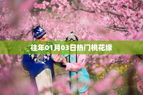 往年一月初桃花盛開，緣分盛開日