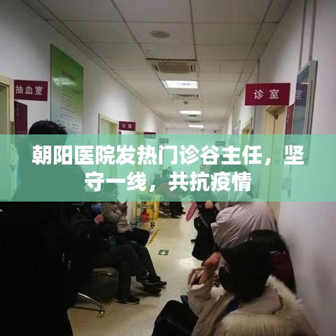 朝陽醫(yī)院發(fā)熱門診谷主任堅(jiān)守一線抗疫