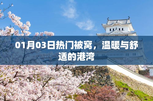 熱門被窩，冬日溫暖的港灣