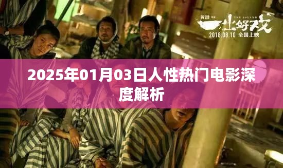 人性探索，深度解析一部熱門電影