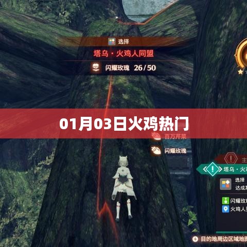 火雞熱門風(fēng)潮，揭秘背后的故事