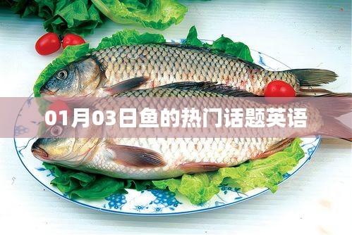 熱門話題英語，聚焦魚類世界，最新動態(tài)一網(wǎng)打盡！