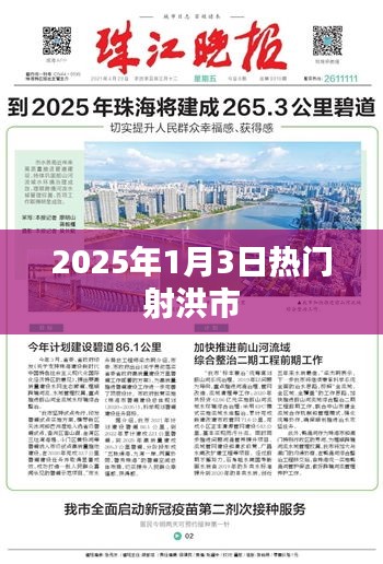 射洪市熱門活動預告，2025年1月3日盛事盤點