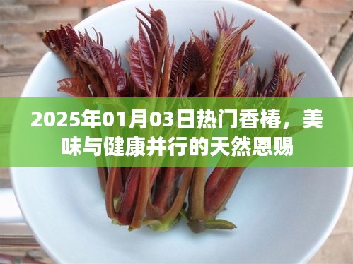 香椿盛宴，美味與健康并行的天然恩賜（2025年）