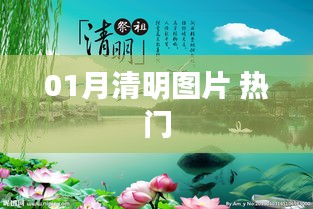 01月清明圖片，精選熱門美圖欣賞