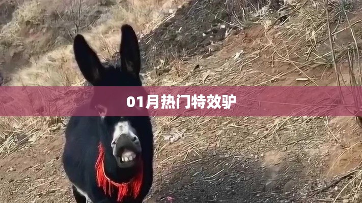 特效驢，揭秘一月熱門潮流元素！
