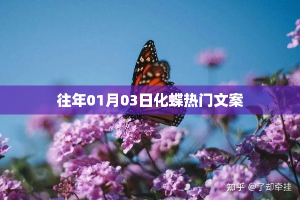 化蝶熱門文案大揭秘，歷年一月初的驚喜瞬間