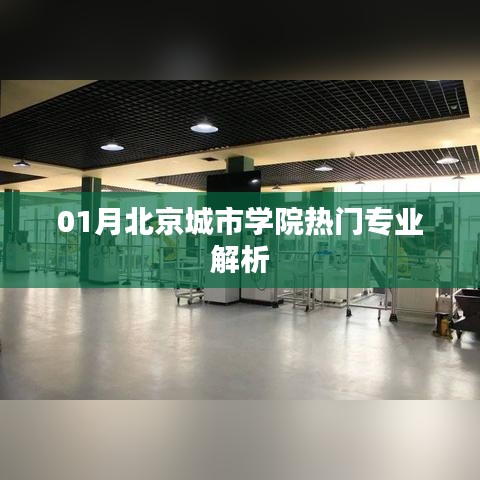 北京城市學(xué)院熱門專業(yè)深度解析